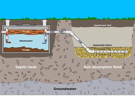 septic system dosing diagram